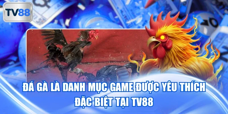 Những ưu điểm hấp dẫn tuyệt vời của danh mục Đá gà TV88