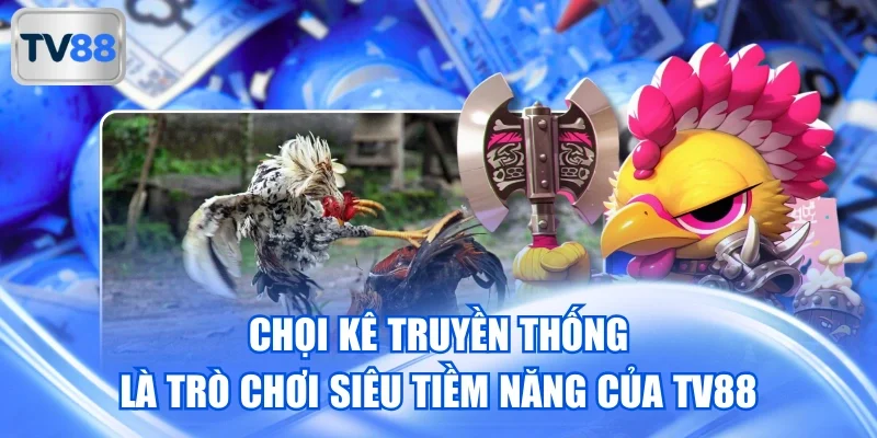 Cách chơi cơ bản, tạo trải nghiệm thú vị và cơ hội cực kỳ tiềm năng