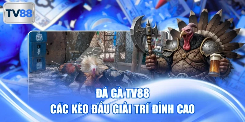 Đá gà TV88 - Trận Đấu Sôi Động, Kèo Cược Phong Phú 24/7